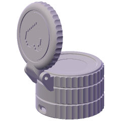 Render of the body